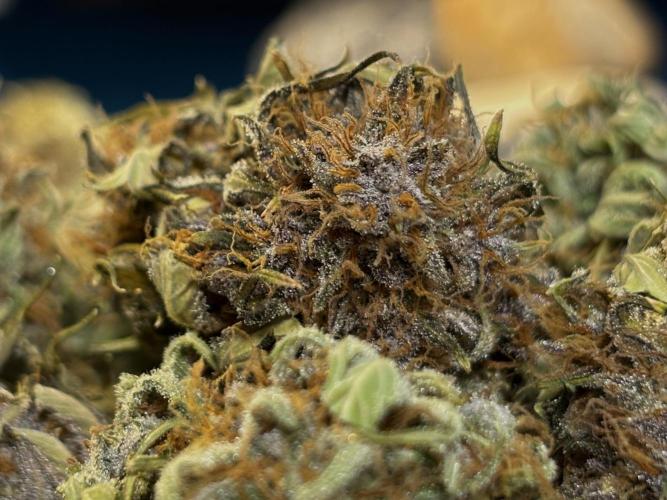 Banana Purple Punch. Week 9