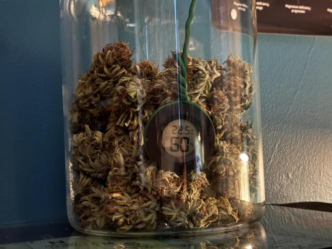 Banana Purple Punch. Week 9