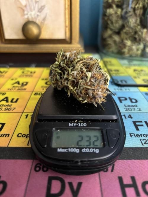 Banana Purple Punch. Week 9