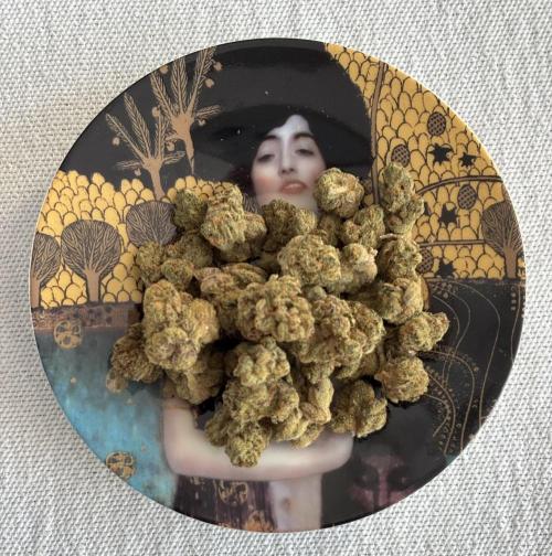 Papaya Cookies Auto. Week 6 - Fully legal on my planet: prescribed meds.