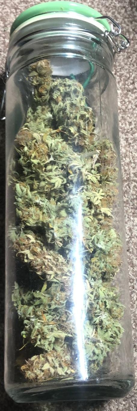 Sour Jealousy Auto. Week 12