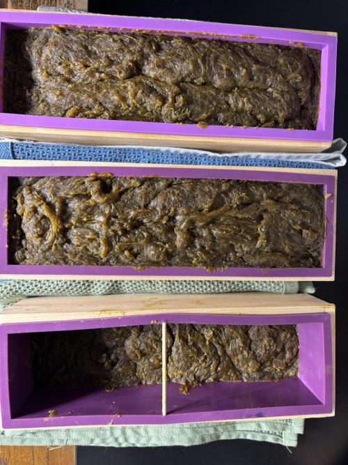 Waste Management Ideas: Project Soap. Week 0