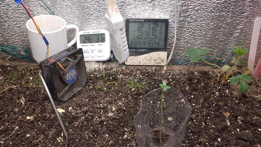 LemonOrangeOrganIndoor 80L GHSC237