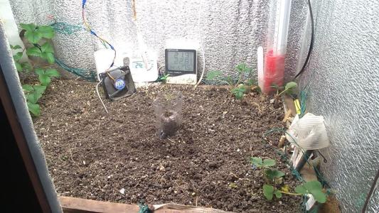 Comment by HumanCompanion photo #1