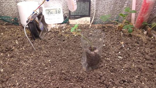 Comment by HumanCompanion photo #1