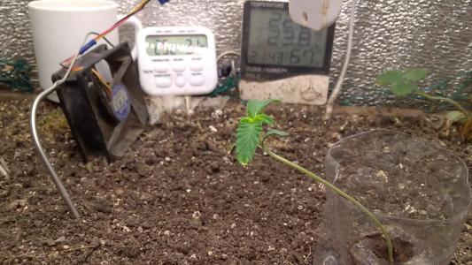 Comment by HumanCompanion photo #2