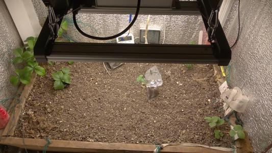 Comment by HumanCompanion photo #1