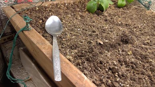 Comment by HumanCompanion photo #1