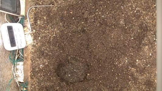 Comment by HumanCompanion photo #4