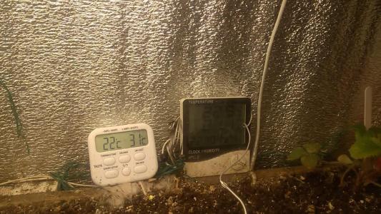 Comment by HumanCompanion photo #2