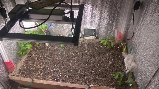 Comment by HumanCompanion photo #1