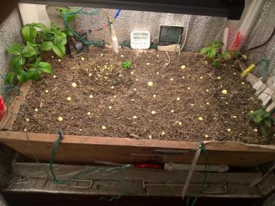 Comment by HumanCompanion photo #1