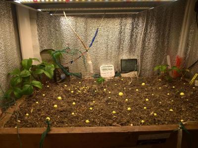 Comment by HumanCompanion photo #2