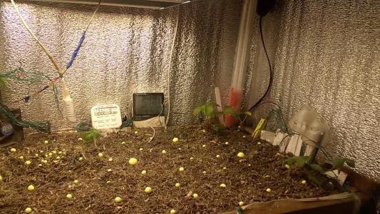 Comment by HumanCompanion photo #3