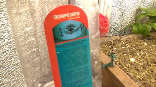 Comment by HumanCompanion photo #2