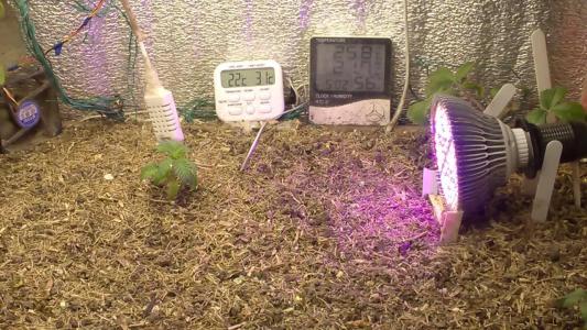 Comment by HumanCompanion photo #4