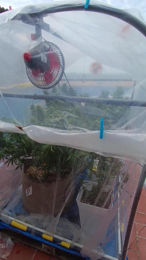 2024 living soil grow
