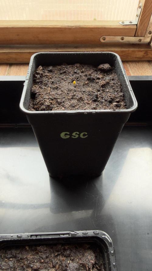 Season 2026# GSC# Barney’s Farm. Week 0