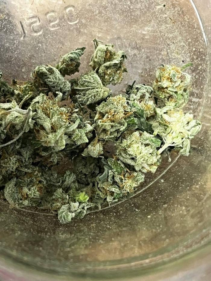 Репот на Gums от UKHTA420. Week 13