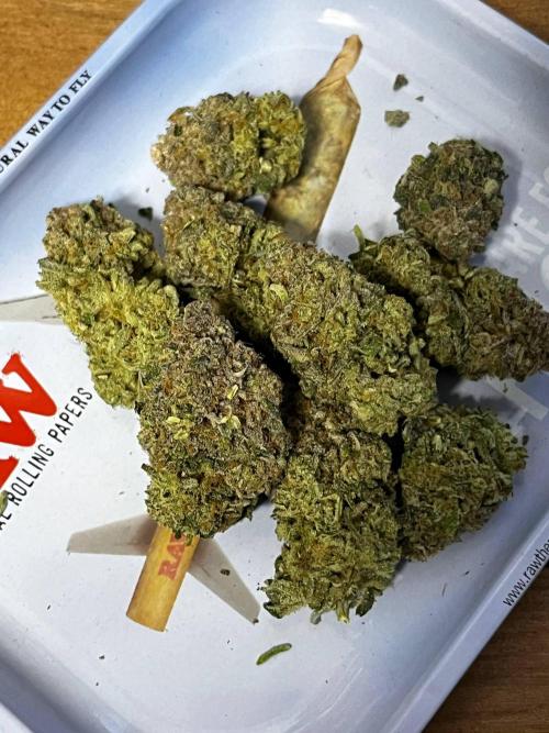 Репорт на Jam от UKHTA420. Week 14