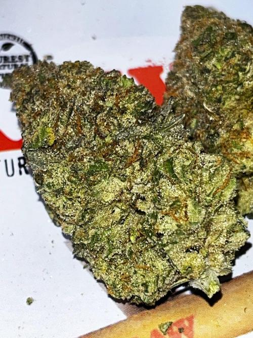 Jam от UKHTA420. Week 14