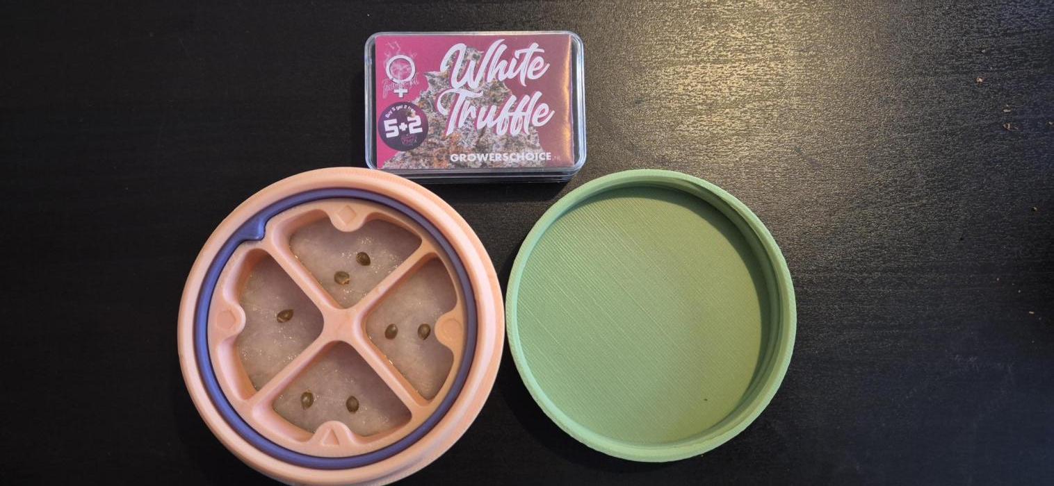 Indoor White Truffle. Week 0 - Less than 24h to germination