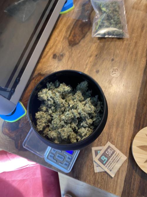 Purple Cookie Kush | Living Soil | GER. Week 14