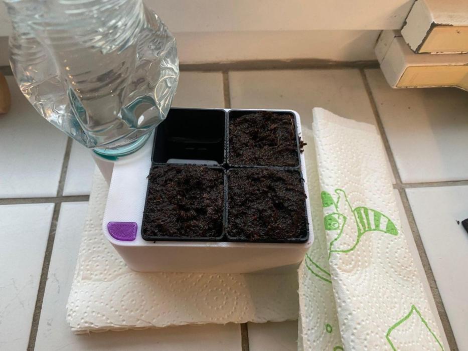 Sweet Cherry Kush | Living Soil | GER. Week 0