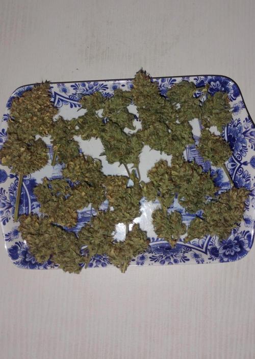 Ak auto Santos 013 CBJR. Week 10