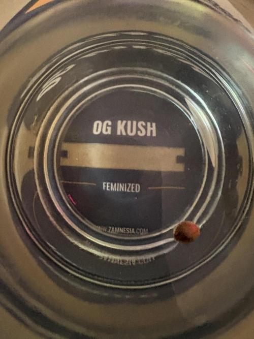OG Kush - 1/4/26. Week 0