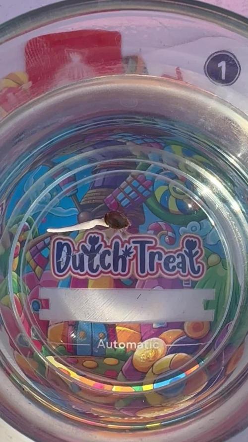 Dutch Treat - 1/7/26