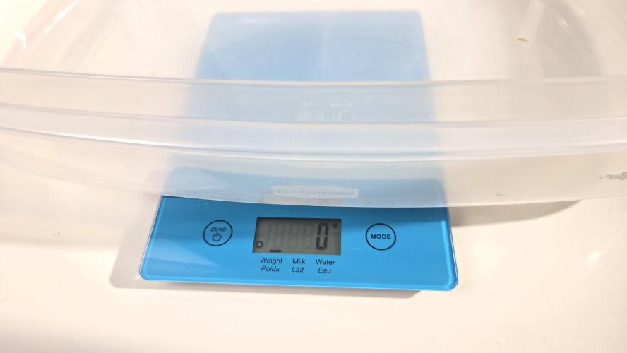 Fragaria Gorillai. Week 13 - Day 90