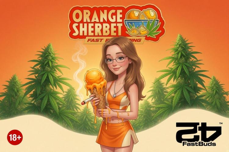 Orange Sherbet FF. Week 0