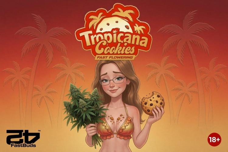 Tropicana Cookies FF. Week 0