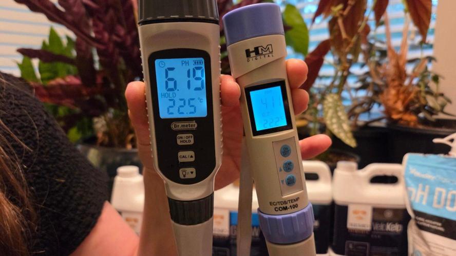 Orange Sherbet FF. Week 4 - Day 22 nutrient pH and ppm's