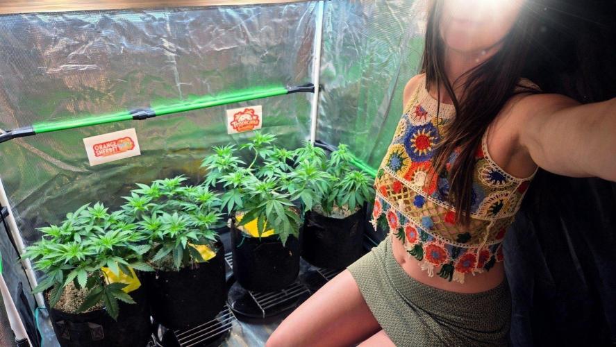Tropicana Cookies FF. Week 6 - Day 41 - Selfies