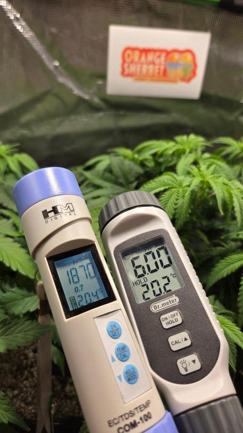 Orange Sherbet FF. Week 7 - Day 44 - Runoff PPM's & pH (Plant #2)
