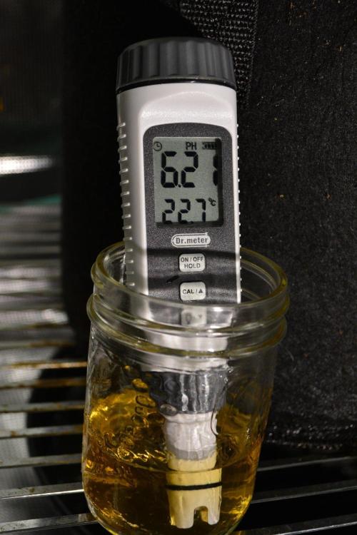Tropicana Cookies FF. Week 7 - Day 47 - Runoff pH after plain water flush