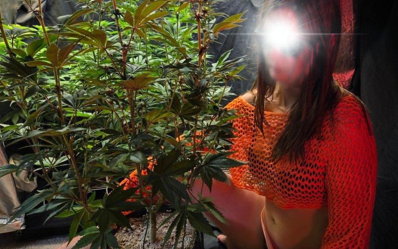 Tropicana Cookies FF. Week 10 - Day 65 Garden Erotica