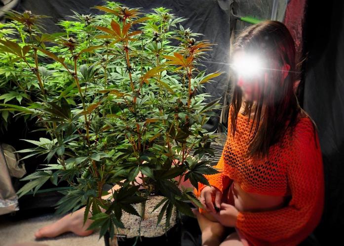 Tropicana Cookies FF. Week 10 - Day 65 Garden Erotica