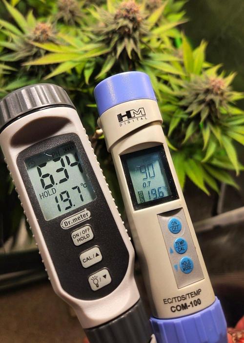 Tropicana Cookies FF. Week 12 - Runoff levels