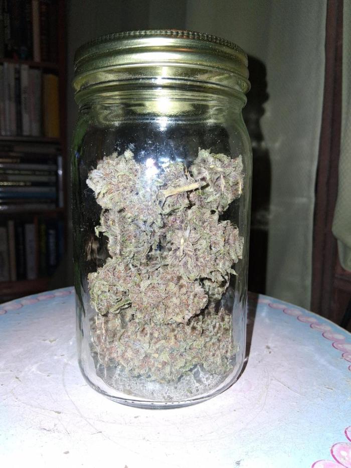 Top-dress-off Grean Bycicle's. Week 10