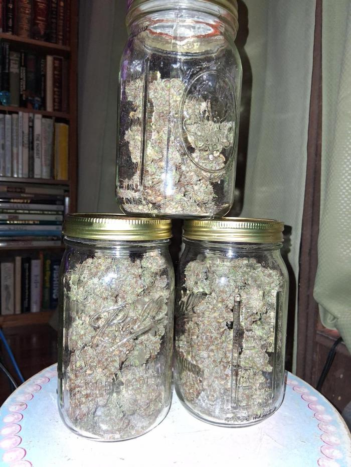 Top-dress-off One-Shot NFTG. Week 11