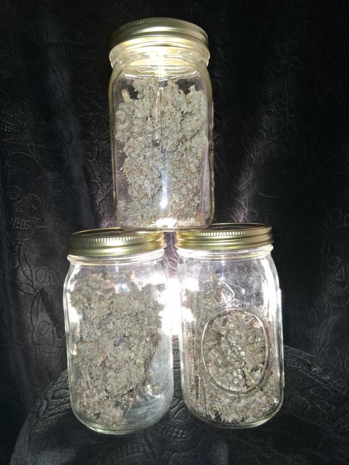 Night Owl collab. Week 13