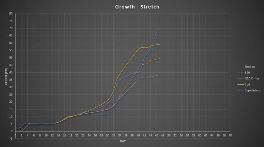 Super³Sativas. Week 7 - Stretch overview