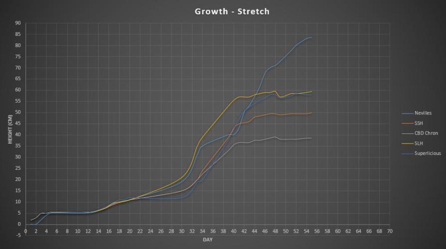 Super³Sativas. Week 8 - Stretch overview