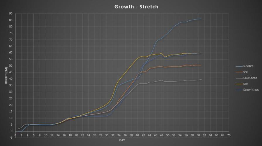 Super³Sativas. Week 9 - Stretch overview