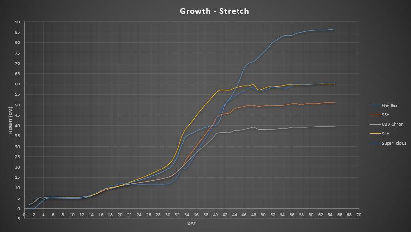 Super³Sativas. Week 10 - Stretch overview