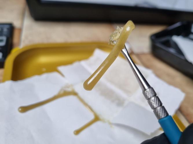 Co2 grow: 2* Sundae Supper - Solfire. Week 14