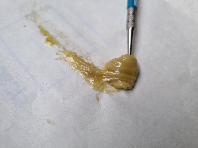 CO2 Grow: LIT Farms & Humboldt S. C.. Week 14